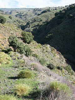 Nacimiento rio Tímar