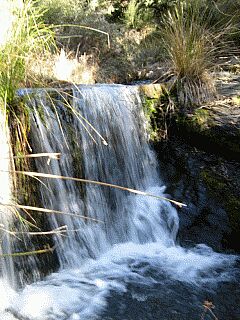 Presa junto al 'guiaero'