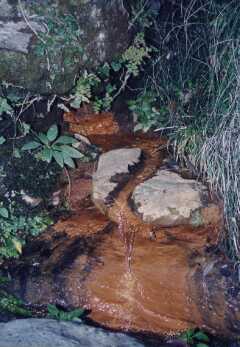 Manantial de la Fuente Agria de Juviles