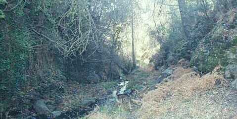 Acceso a la Fuente Agria de Juviles