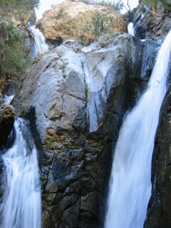 La presa (ampliar)