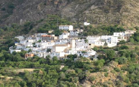 Vista de Nieles